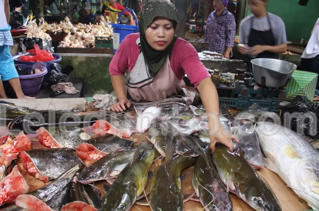 Strategi Pemasaran Produk Olahan Ikan Lele Untuk Menarik Konsumen