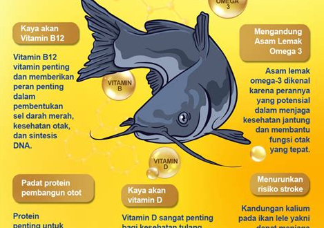 kelebihan dan kekurangan ikan lele jumbo