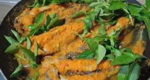 berbagai olahan makanan dari ikan Lele Patin