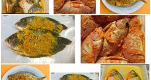 cara memotong ikan dan membersihkan ikan lele patin