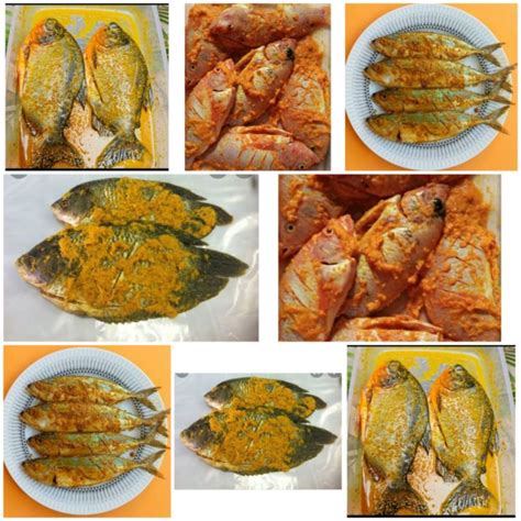 cara memotong ikan dan membersihkan ikan lele patin