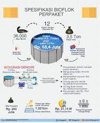 Teknik Bioflok: Budidaya Lele 1m² Hasilkan 1 Ton!