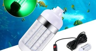 Budidaya Lele: Pakai Lampu LED untuk Pacu Nafsu Makan & Raih FCR 0.8!