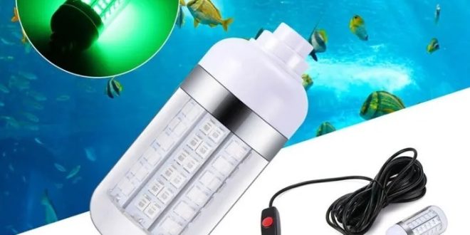 Budidaya Lele: Pakai Lampu LED untuk Pacu Nafsu Makan & Raih FCR 0.8!