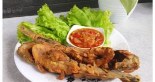 berbagai olahan makanan dari ikan Lele Jumbo